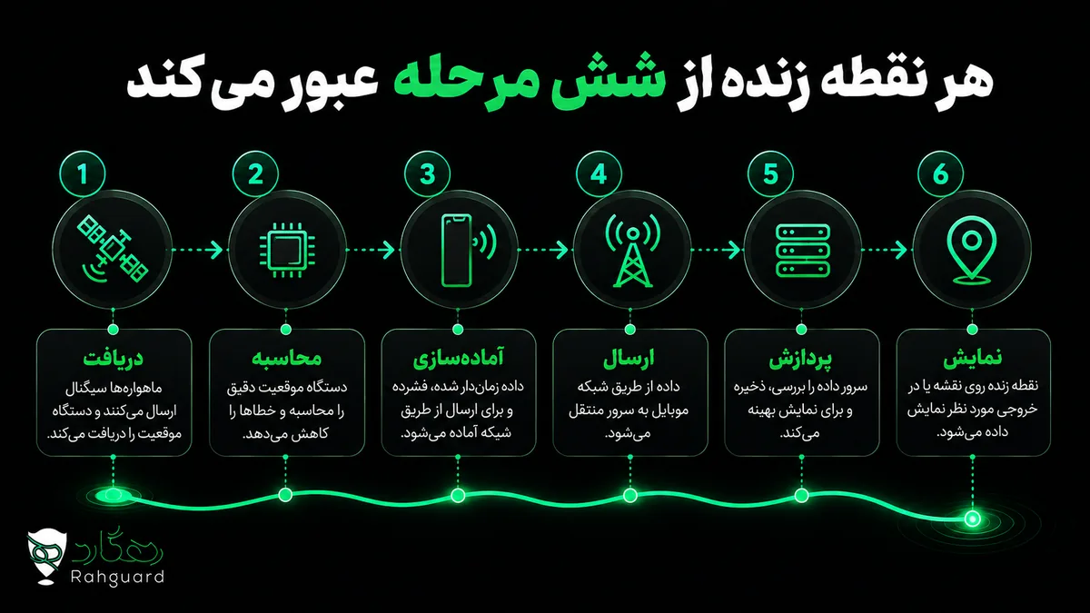 هر نقطه زنده از شش مرحله عبور می‌کند